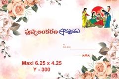 Y_300-copy