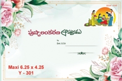 Y_301-copy