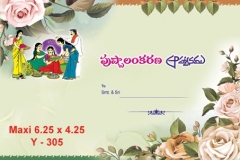 Y_305-copy